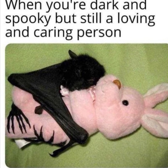 Meet - Picture 7 of 8